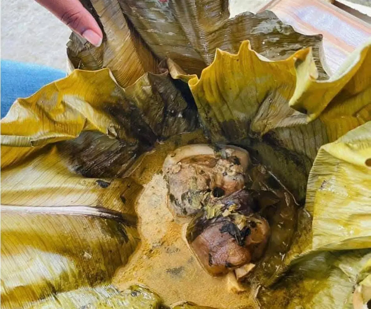 Ndomba de poisson