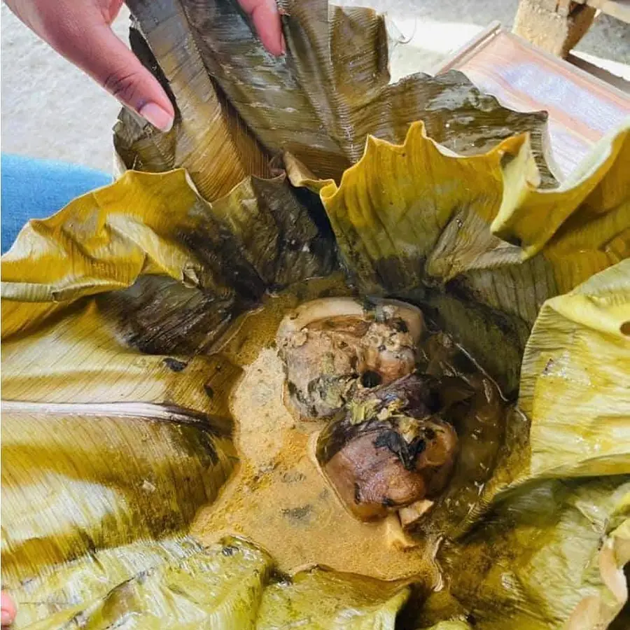 Ndomba de poisson