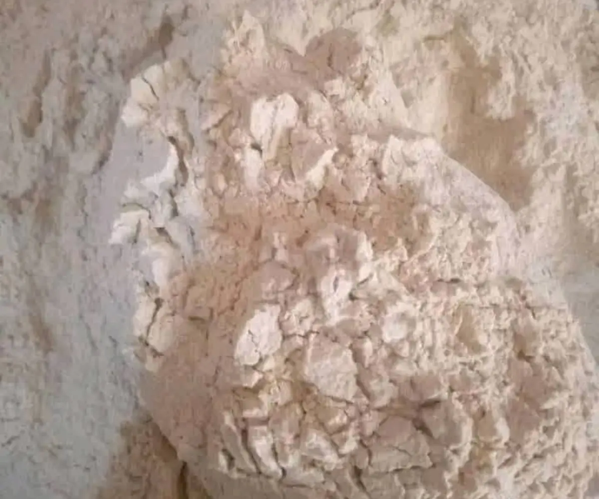 Plantain flour