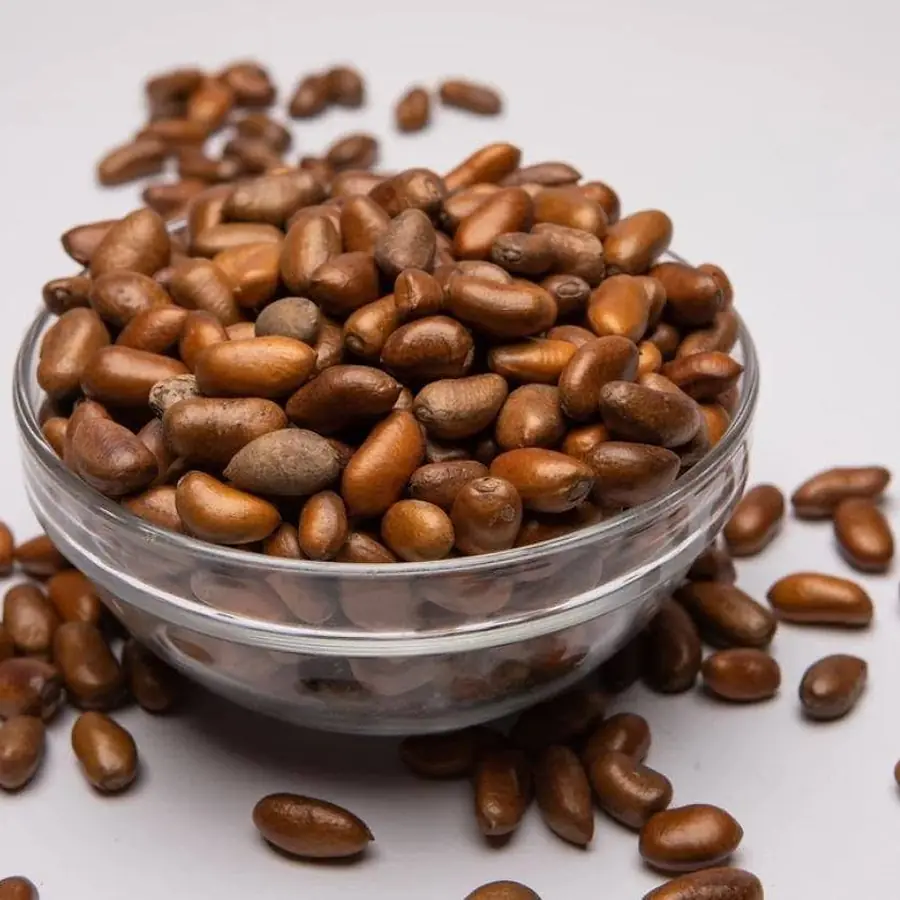 Calabash nutmeg