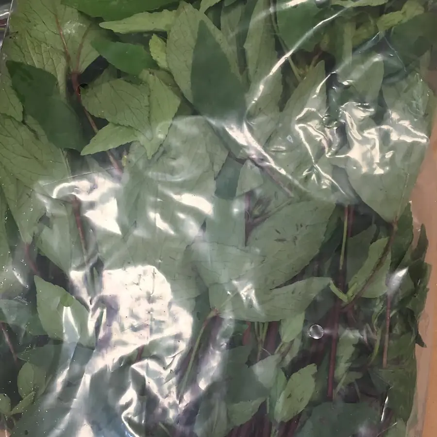 Roselle / sorrel leaves