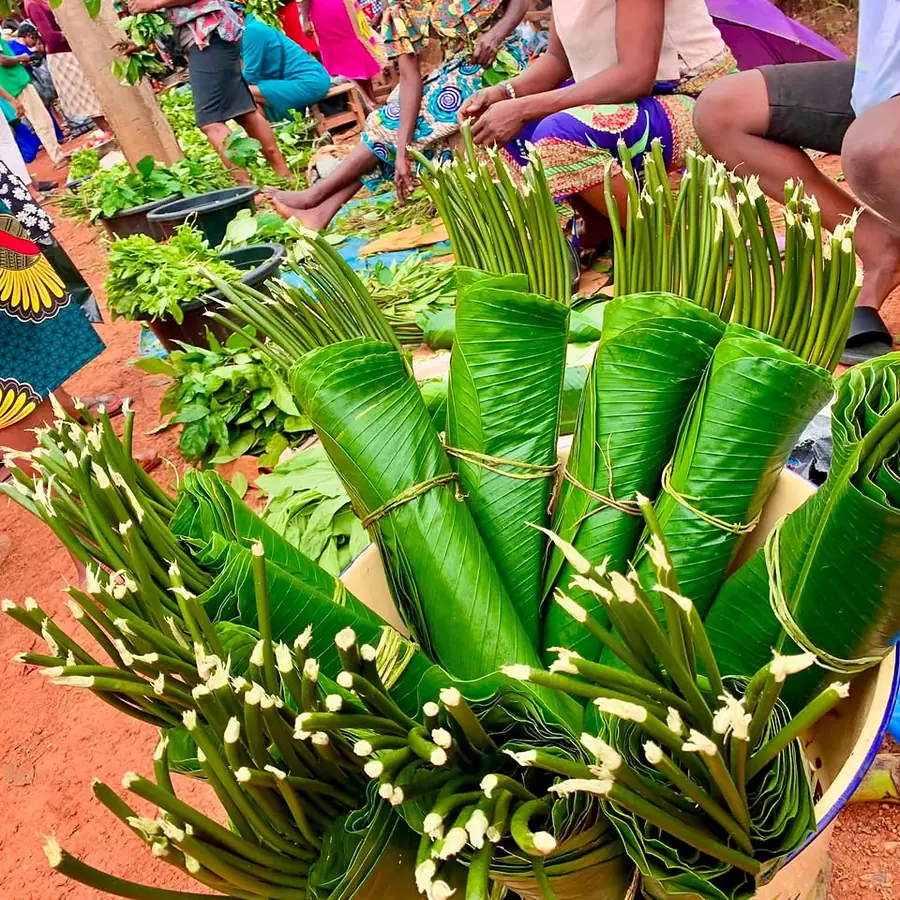 Wrapping leaves