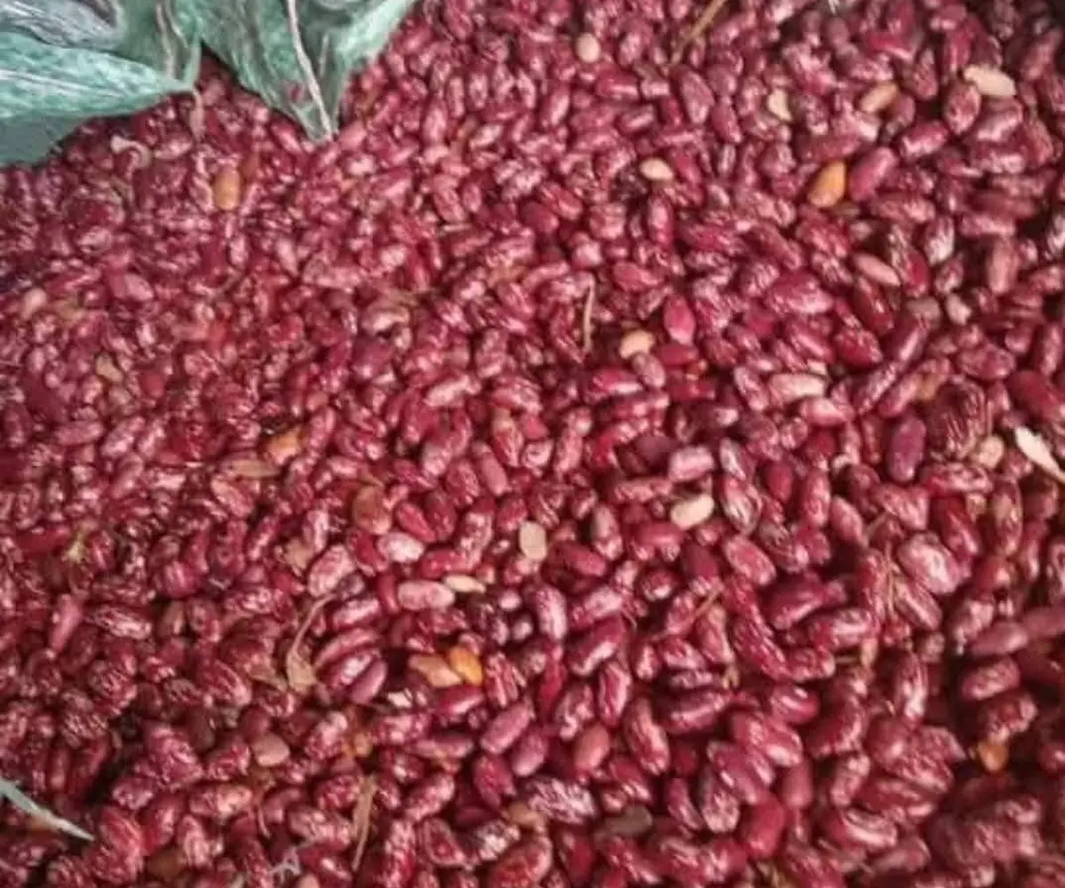 Haricots rouges / blancs
