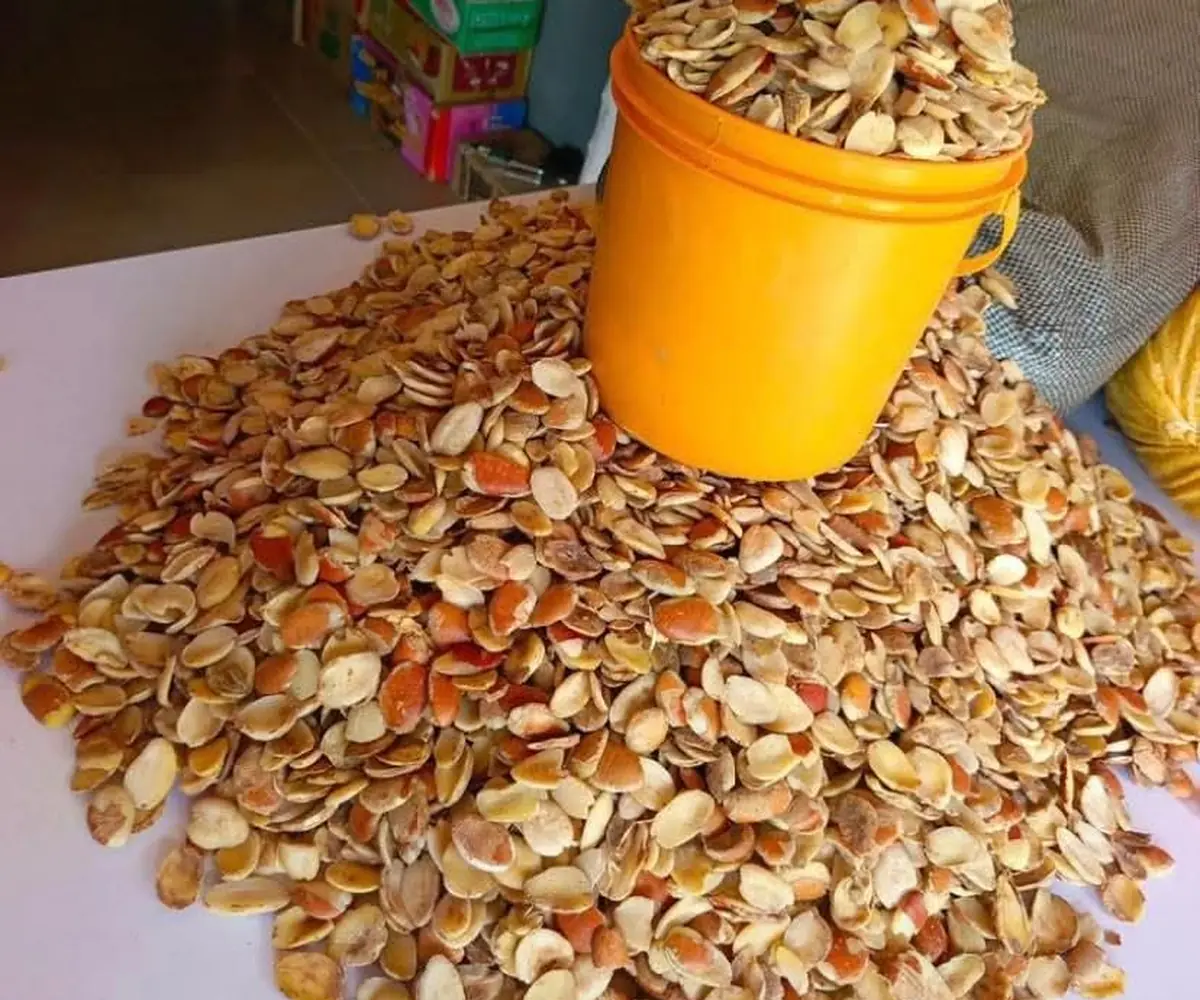 Bush mango seeds