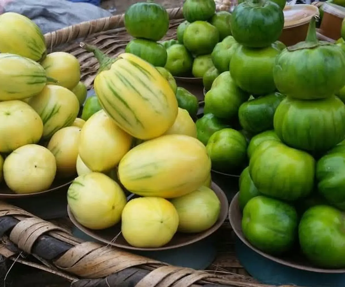 Garden egg