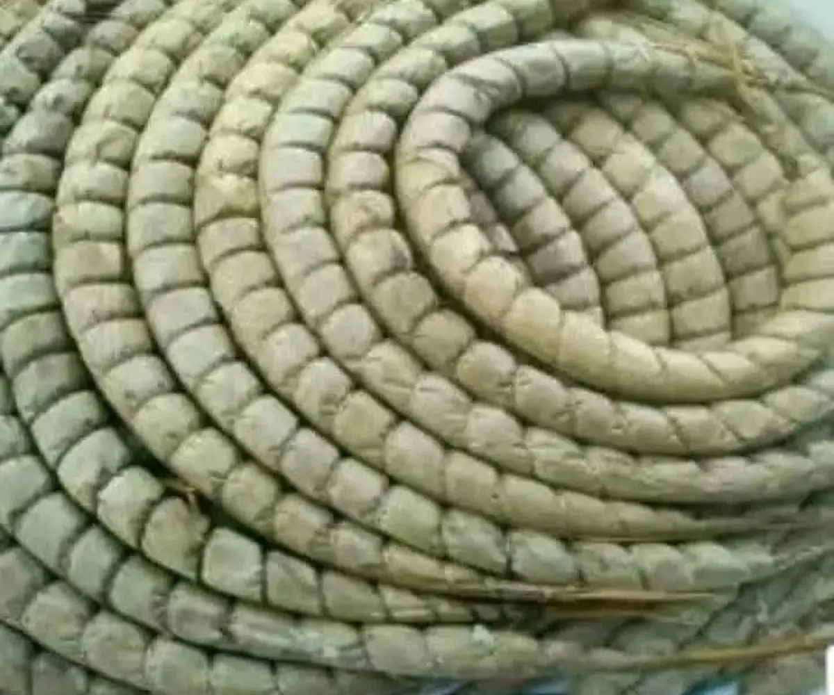 Bâton de manioc