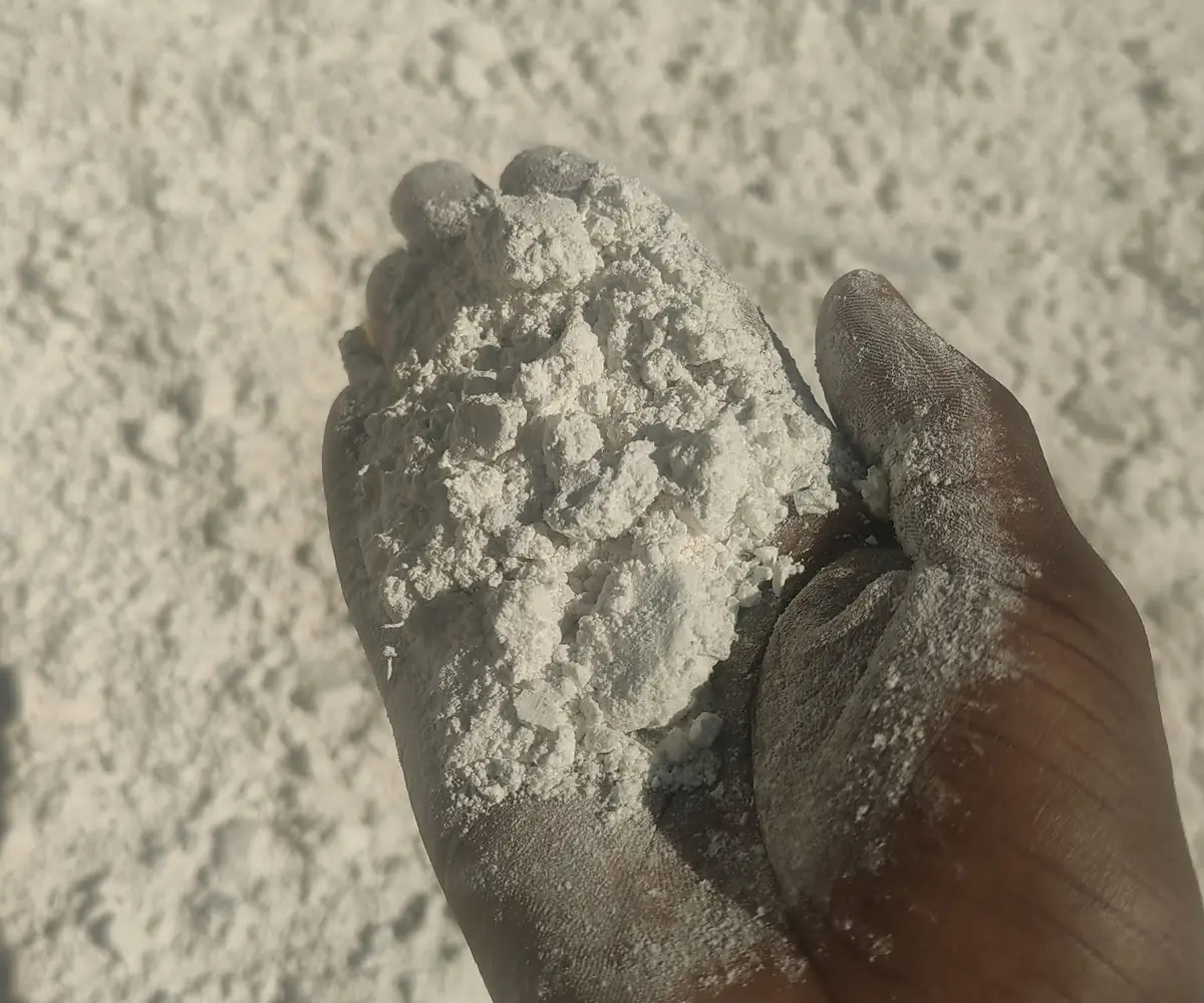 Cassava starch